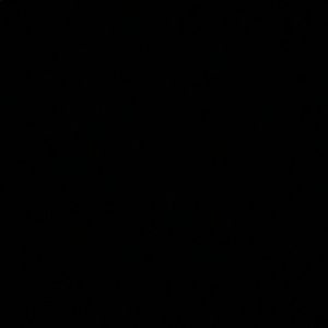 Meet your Posher, Rexford